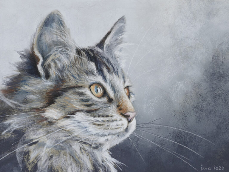 Pastell Portrait Katze. Hochkonzentriert blickt eine graue Katze aus ihren gelbbraunen Augen auf irgendetwas, das ihr Interesse geweckt hat