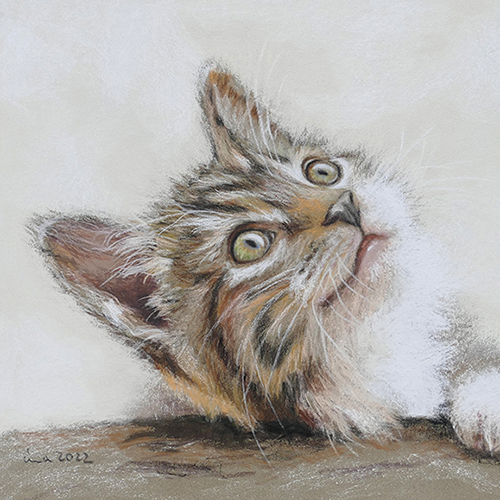 Pastell Katzenportrait. Ein süßes kleines Kätzchen mit weichem, seidigem Fell. Es schaut mit seinen gelbbraunen Augen nach oben. Die Ohren sind gespitzt, der Mund geschlossen.